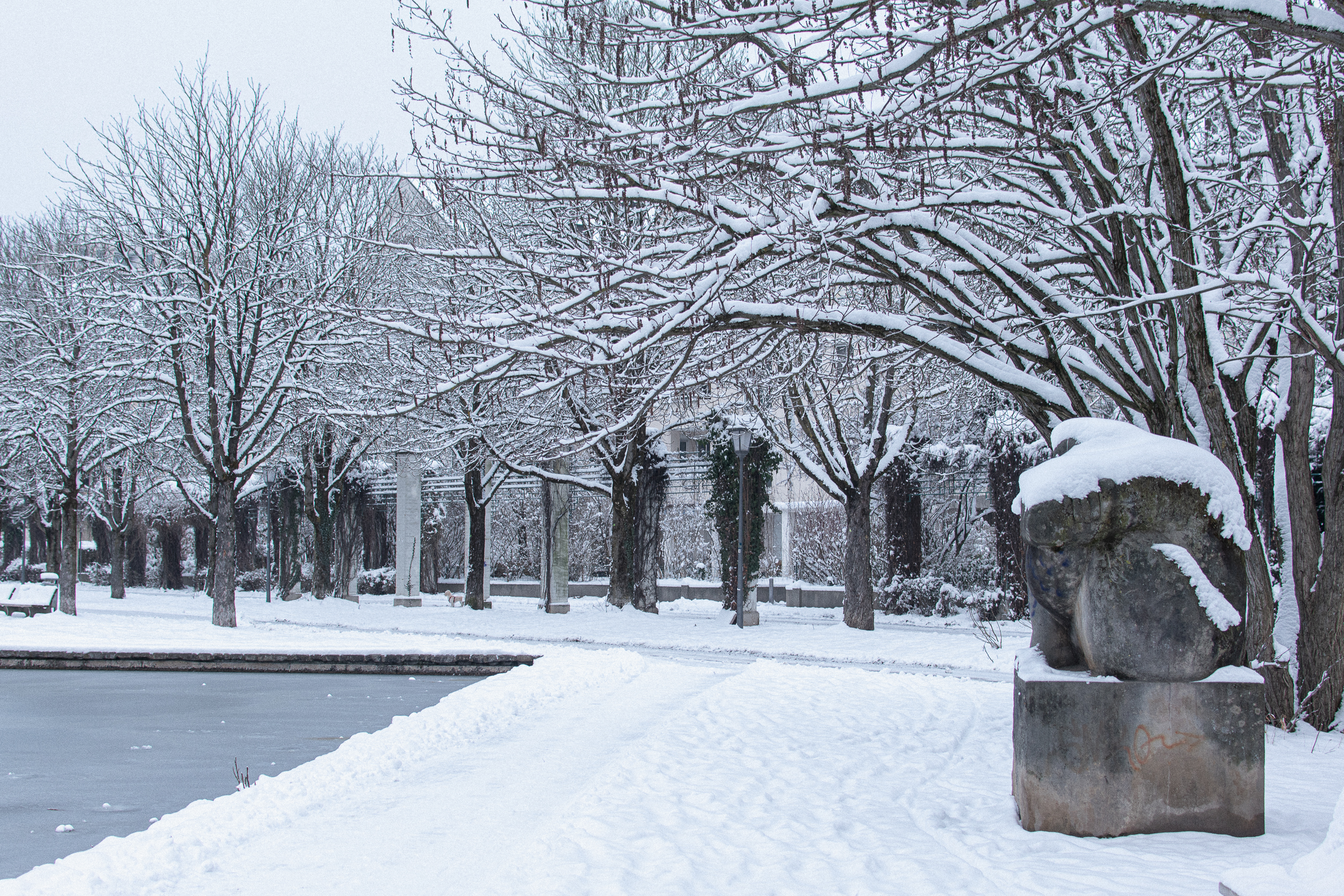 Dusty snow on the lake